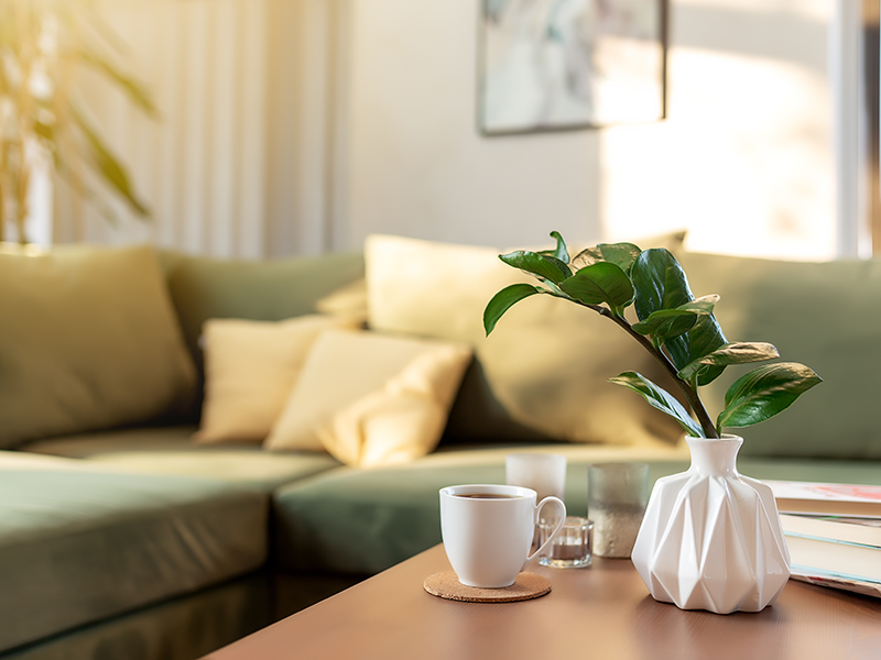 Cozy Living Spaces Cozy Living Spaces