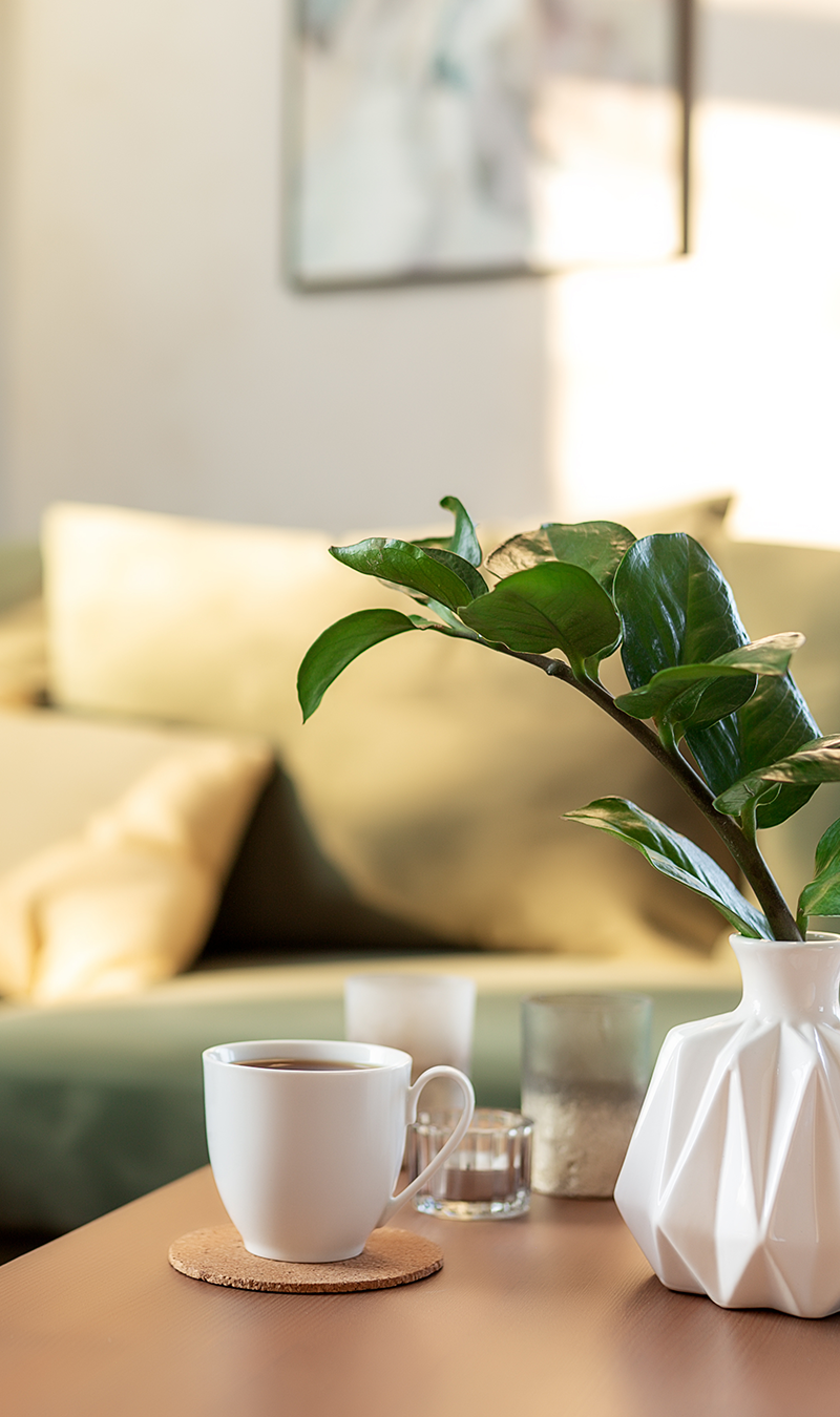 Design Your Living Room
