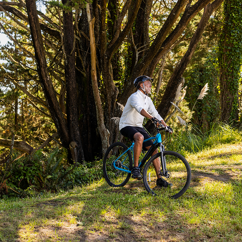 Enjoy a Bike Ride