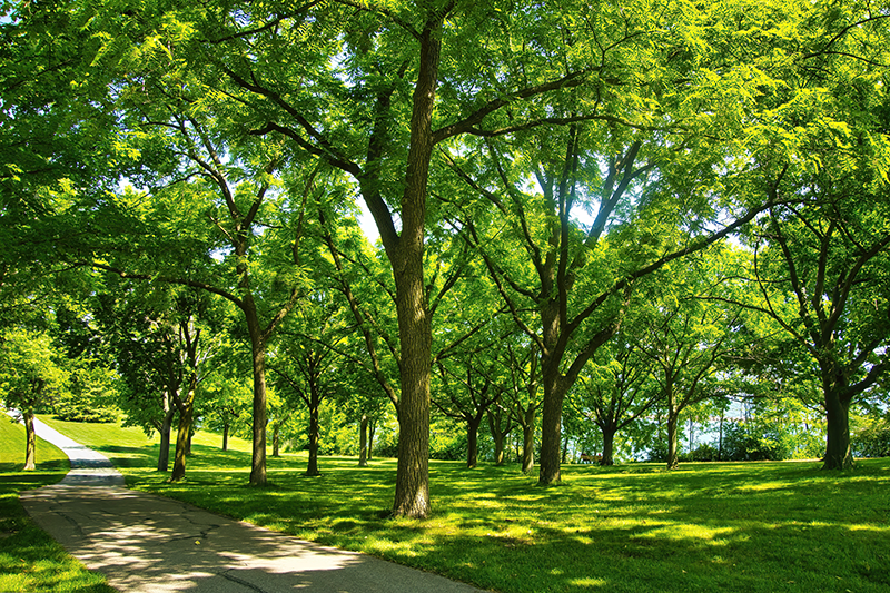 Enjoy a Stroll Through the Park Enjoy a Stroll Through the Park