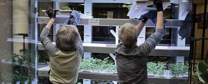 Hydroponic Gardens at St. Camillus