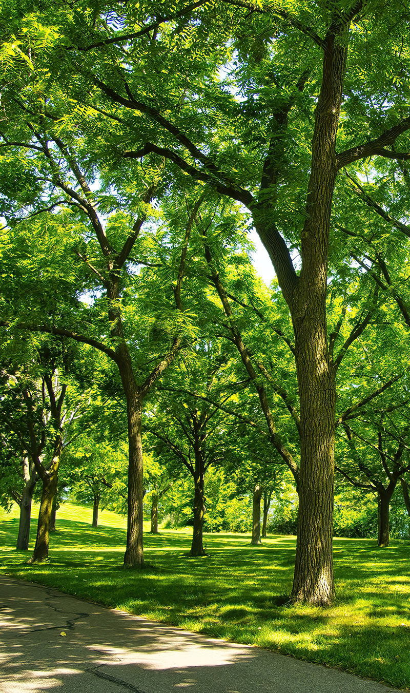 Walkable Community