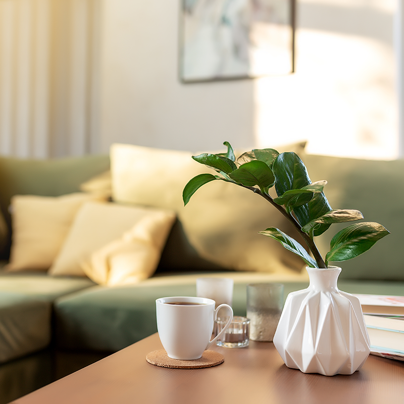 Assisted Living Services Assisted Living Services