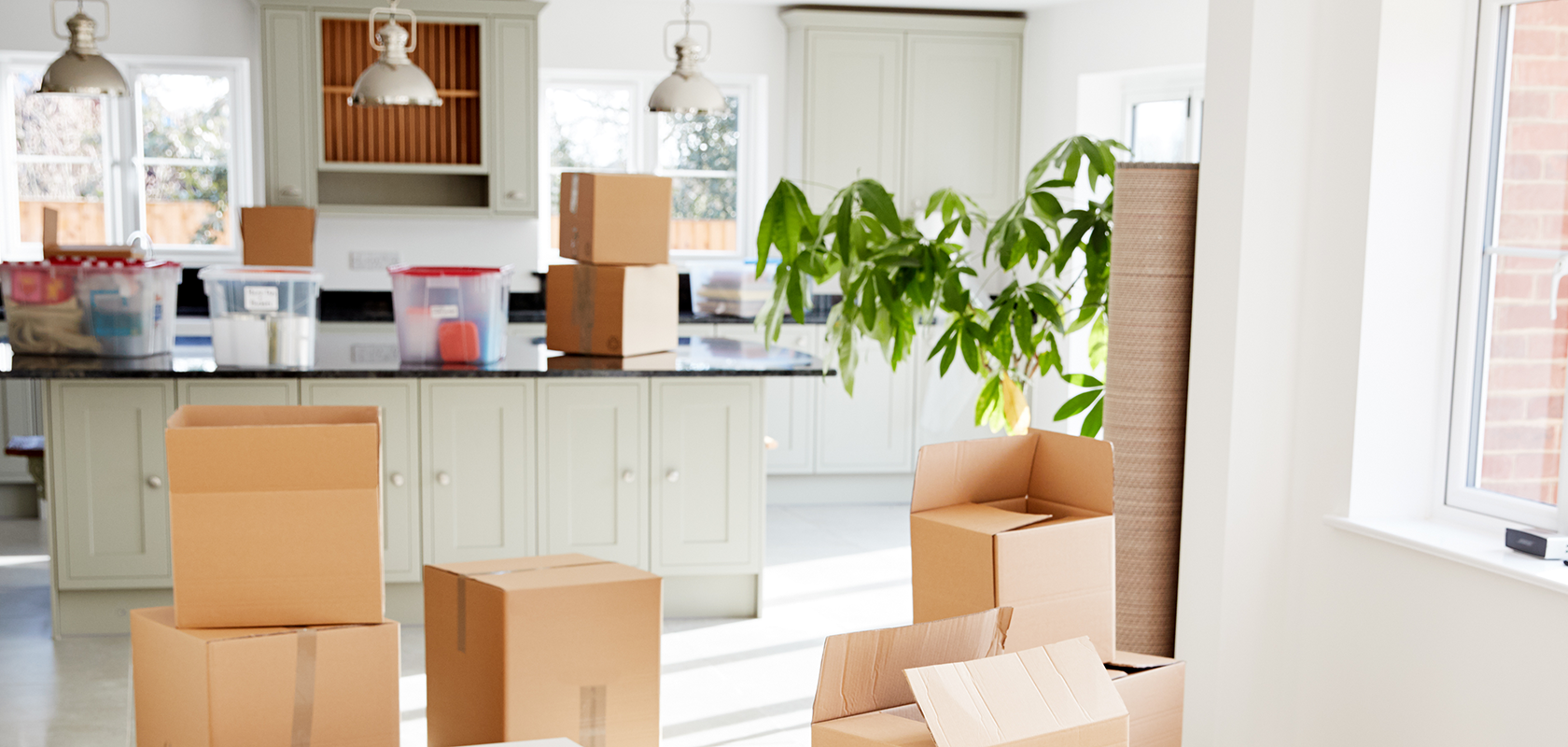 Summer Downsizing