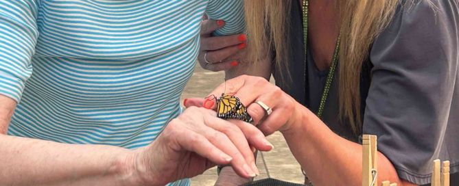 Butterfly Garden Opening and Release