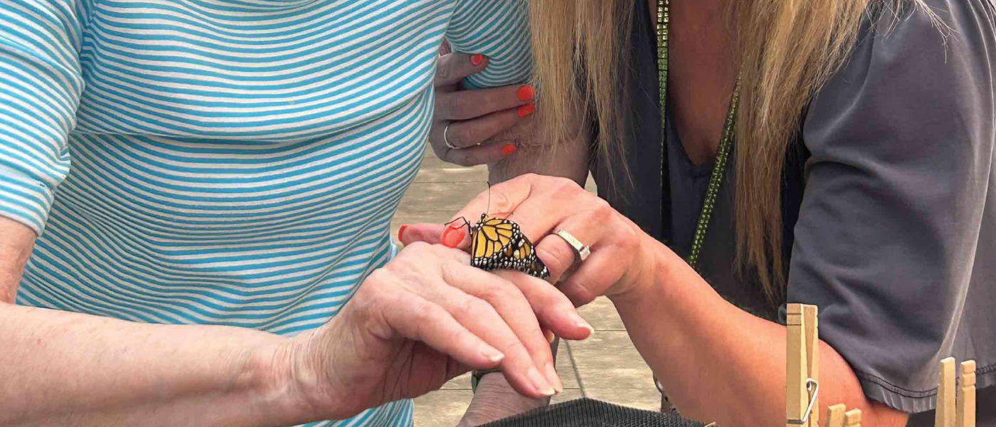 Butterfly Garden Opening and Release